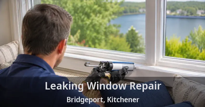 Leaking Window Repair Bridgeport, Kitchener - ON