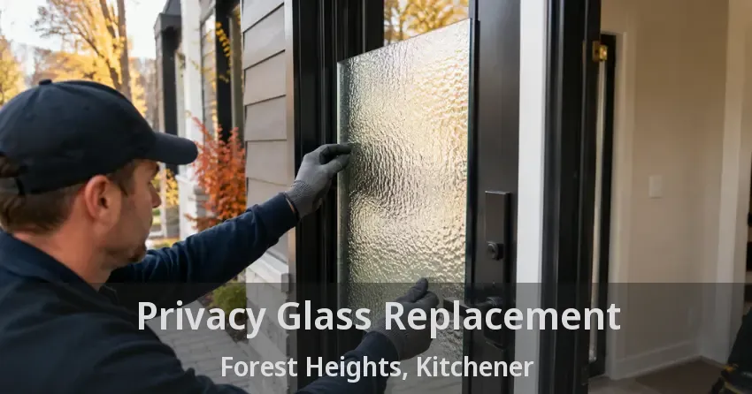 Privacy Glass Replacement Forest Heights, Kitchener - ON